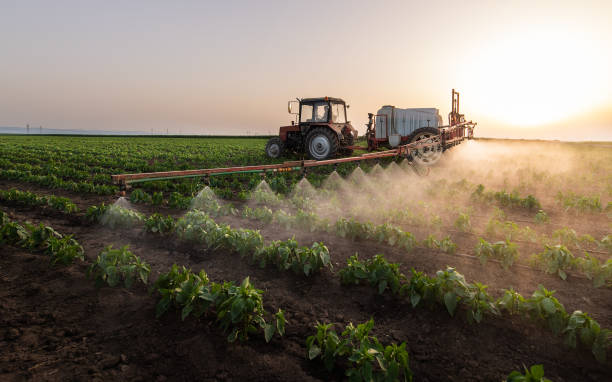 Best Wildlife Control Services  in Los Banos, CA