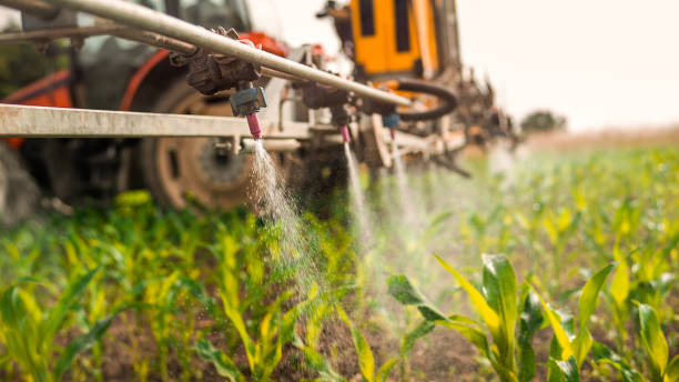 Best Ant Control Services  in Los Banos, CA